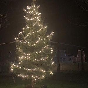 WhatsApp Image 2025-12-13 at 21.12.32